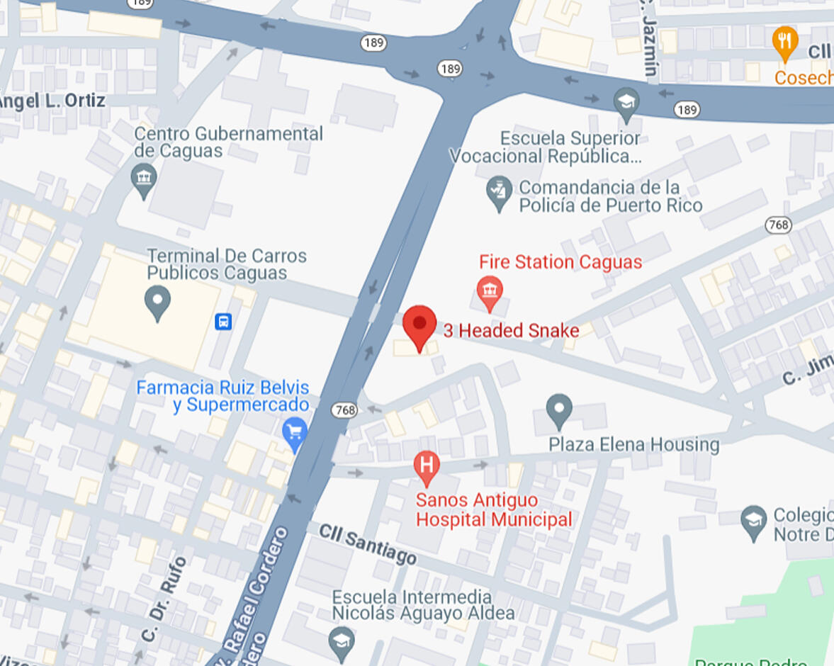 Google Maps
